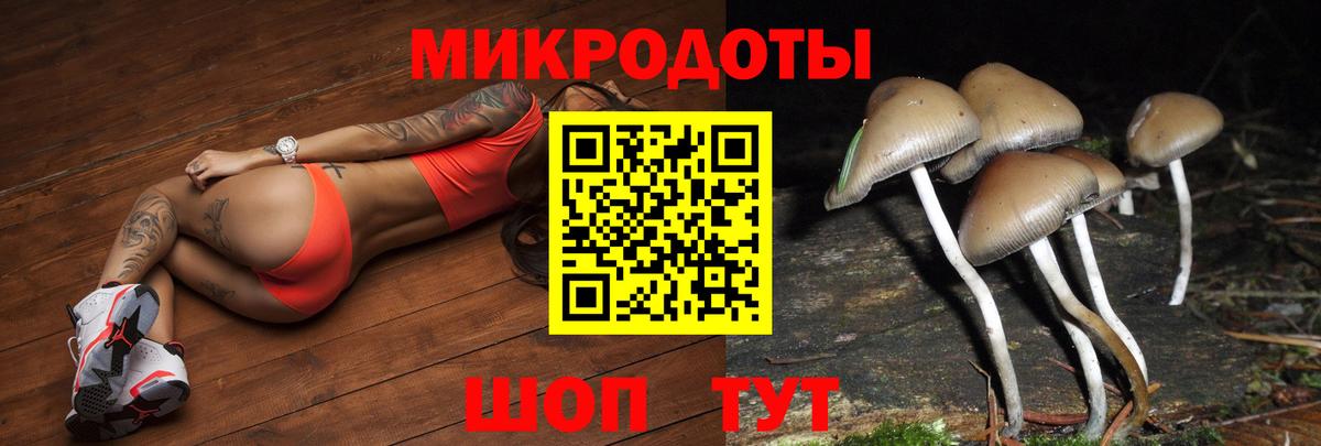 Скопин  Галлюциногенные грибы прущие грибы  Вход с VPN  Галлюциногенные грибы GOLDEN TEACHER 